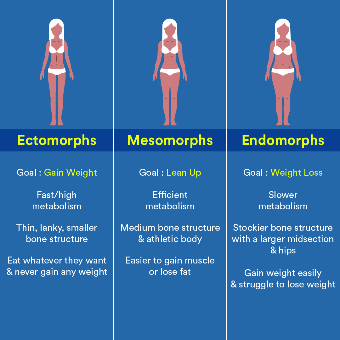 body types ectomorph mesomorph endomorph